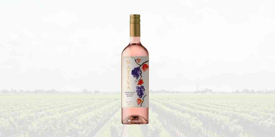 Sur Andino｜Nativa Carmenere White Carmenere