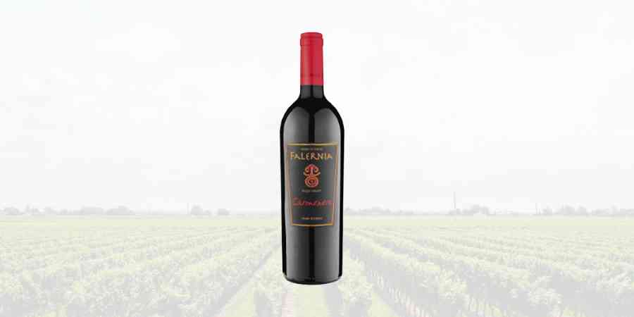 Viña Falernia｜Carmenere Gran Reserva Carmenere