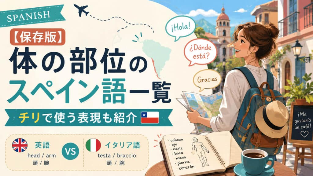 【保存版】体の部位のスペイン語一覧｜チリで使う表現も紹介【英語・イタリア語比較】