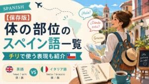【保存版】体の部位のスペイン語一覧｜チリで使う表現も紹介【英語・イタリア語比較】